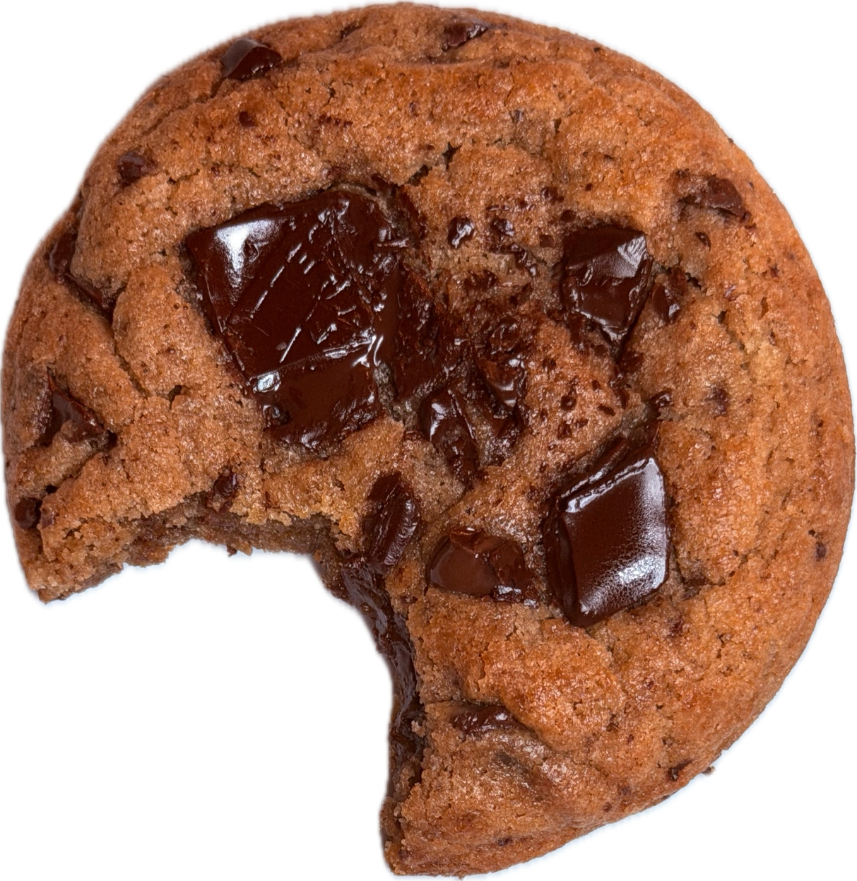 Brown Butter Chocolate Chunk gourmet cookie