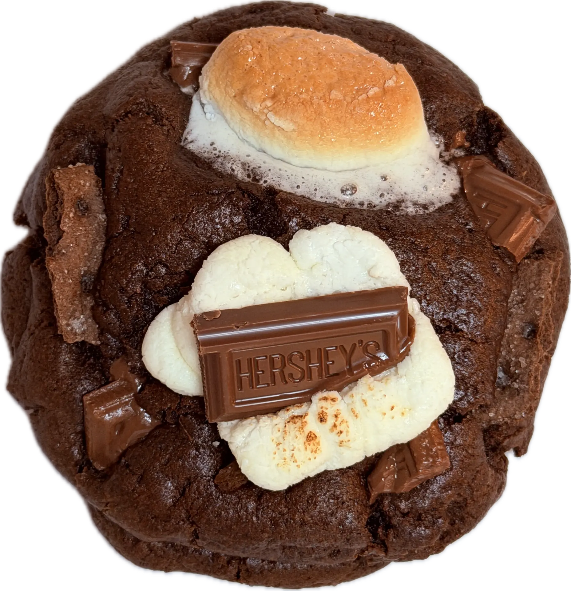 Chocolate S'mores gourmet cookie