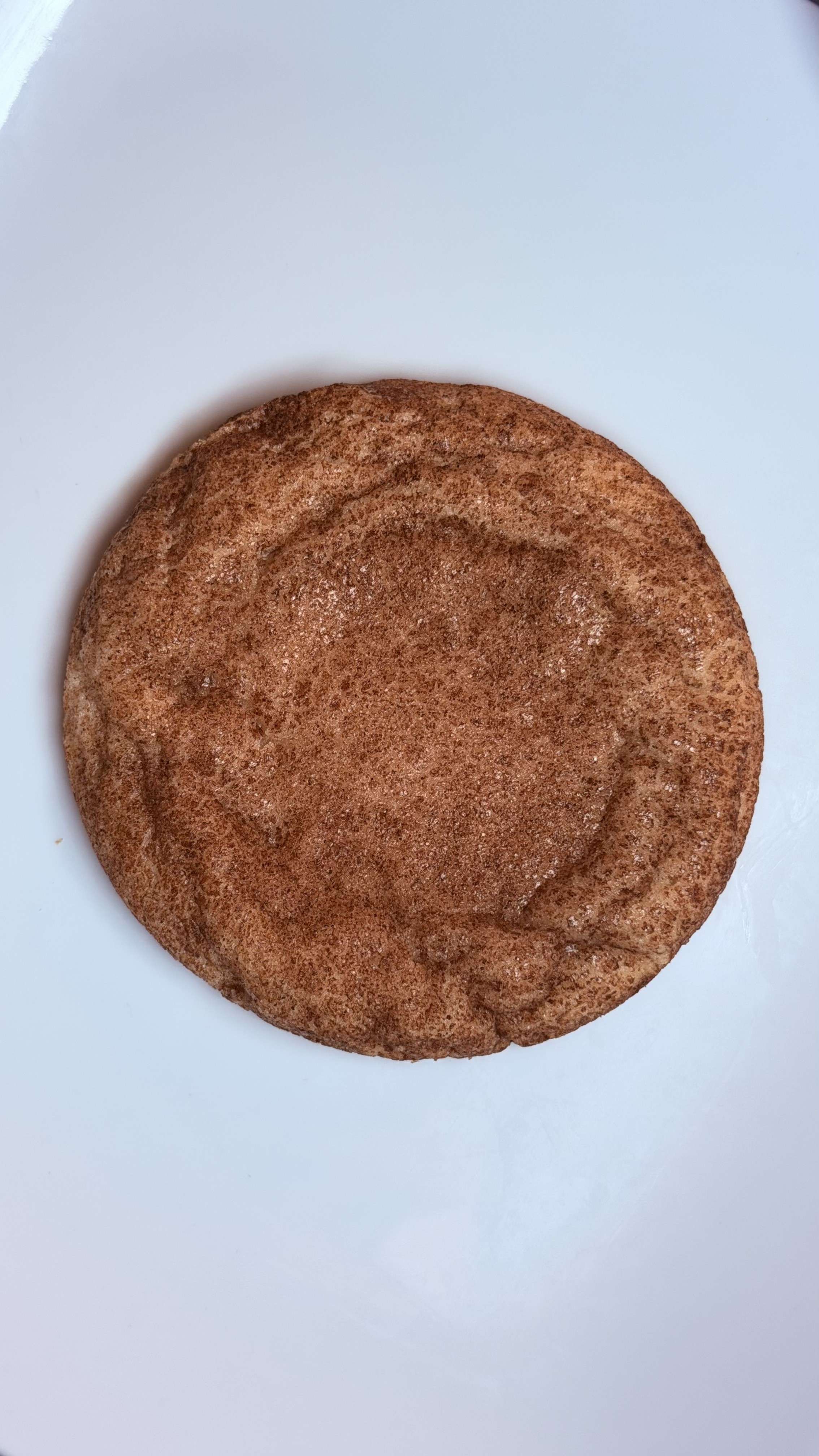 Snickerdoodle gourmet cookie