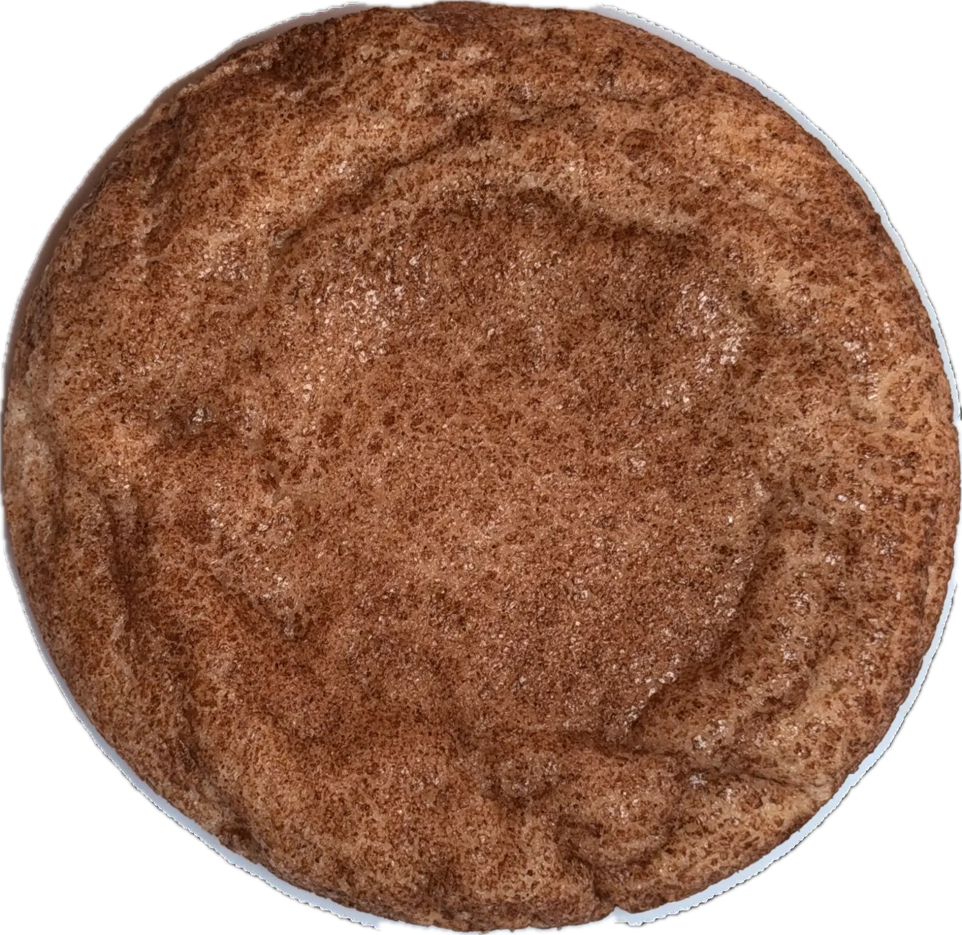 Snickerdoodle gourmet cookie